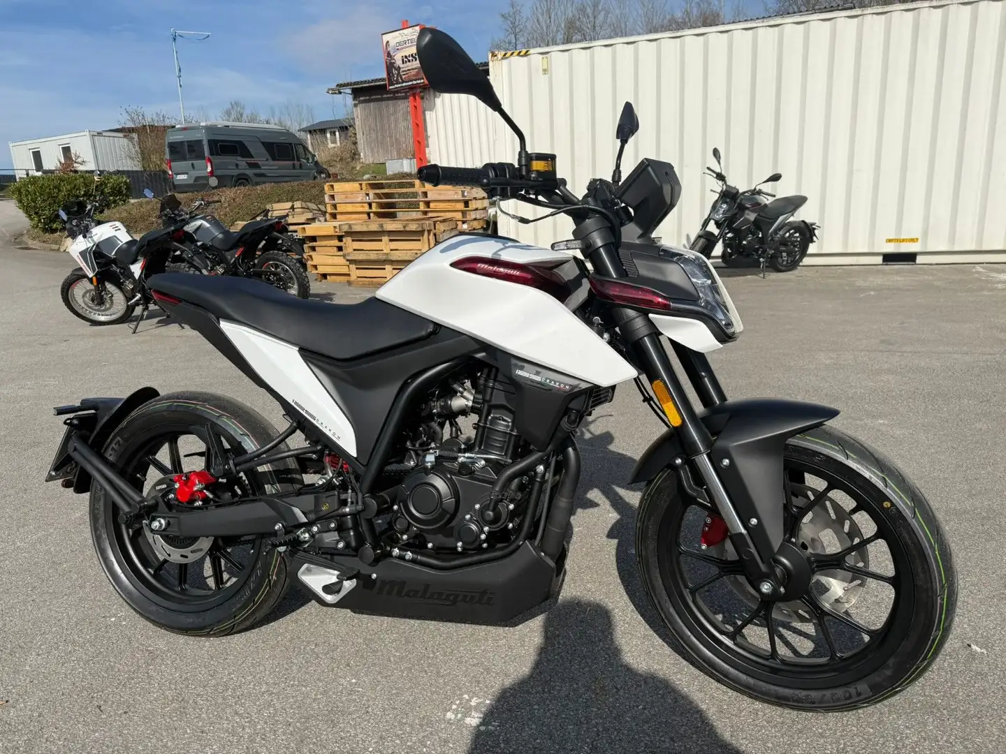 Malaguti Drakon 125 ABS - Neufahrzeug auf Lager AKTION !! Weiß - 2