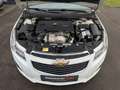 Chevrolet Cruze ! Unfallwagen! TÜV bis 09.2026! Export! Blanc - thumbnail 19