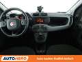 Fiat Panda 1.0 Mild-Hybrid City Cross*PDC*SHZ*KLIMA* Grau - thumbnail 12