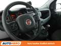 Fiat Panda 1.0 Mild-Hybrid City Cross*PDC*SHZ*KLIMA* Grau - thumbnail 11