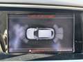 Audi Q5 Q5 2.0 tdi Business quattro 190cv s-tronic Czarny - thumbnail 14