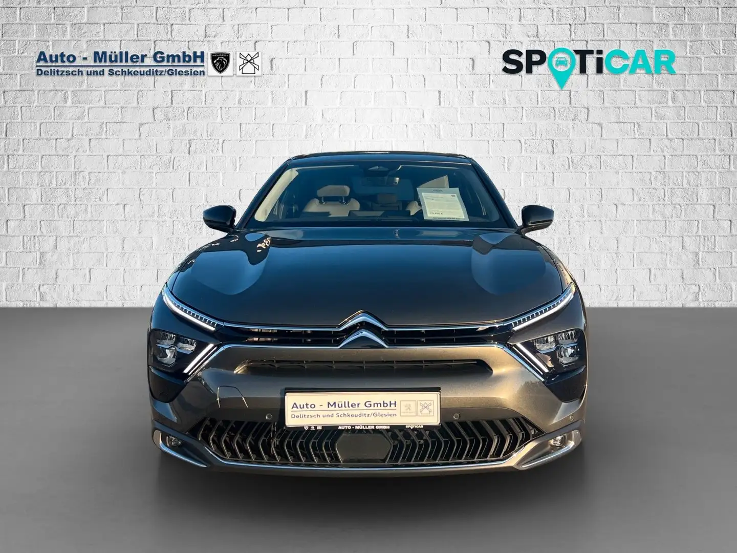 Citroen C5 X PureTech 130 EAT8 Plus/Navi/leder Grau - 2