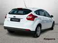 Ford Focus Focus 1.6 TDCi 115CV Titanium Blanc - thumbnail 4