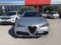 Alfa Romeo Stelvio 2.2 Turbodiesel 190 CV AT8 Q4 Business Grigio - thumbnail 2