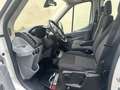Ford Transit L2 Doppelkabine 2,0 L2H1 310 Trend*7 SITZE & AHK Weiß - thumbnail 10