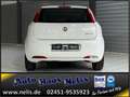 Fiat Grande Punto 1,3 JTD Klima 4Season MP3 Weiß - thumbnail 7