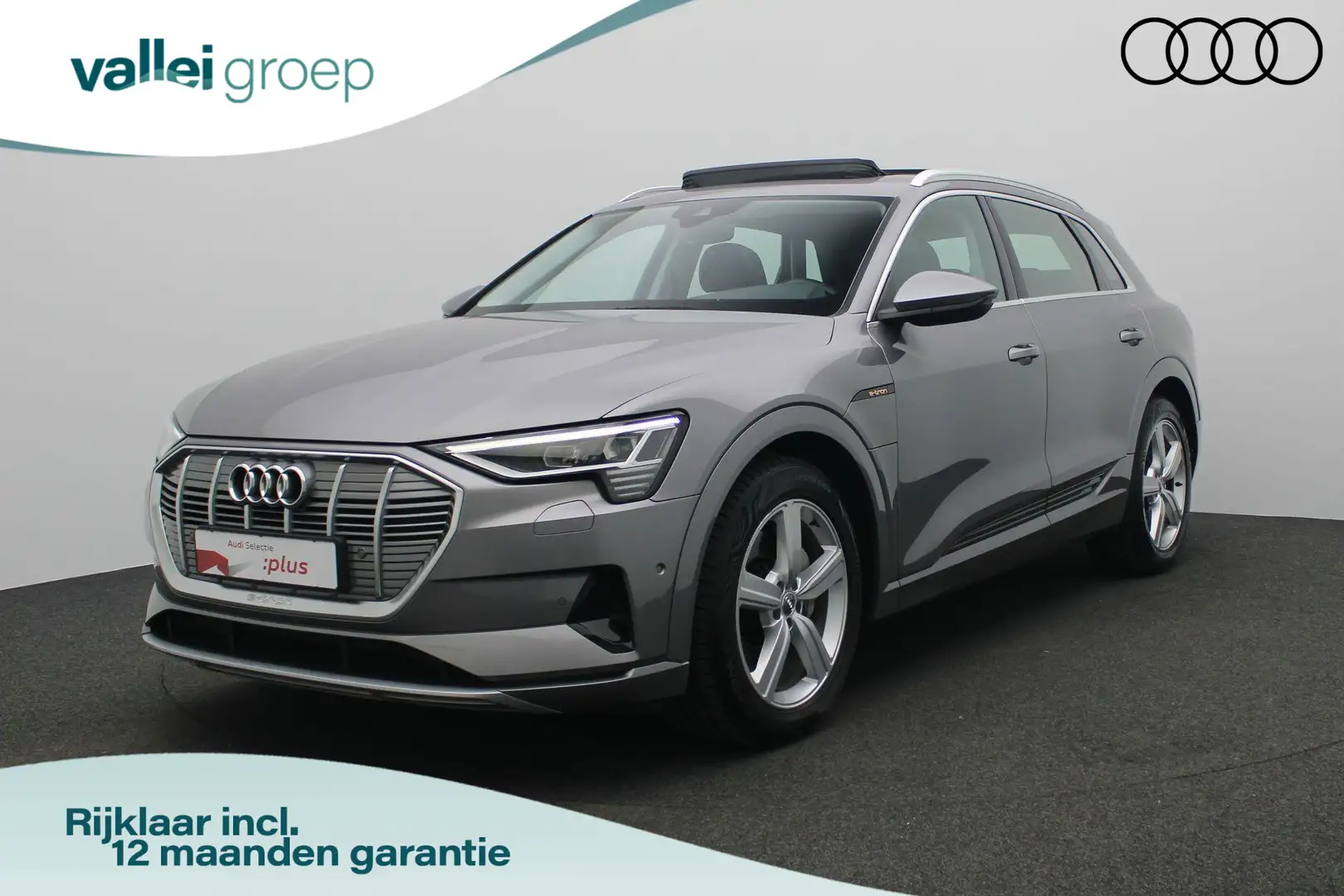 Audi e-tron e-tron 50 quattro Launch edition plus 71 kWh 313 p Grijs - 1