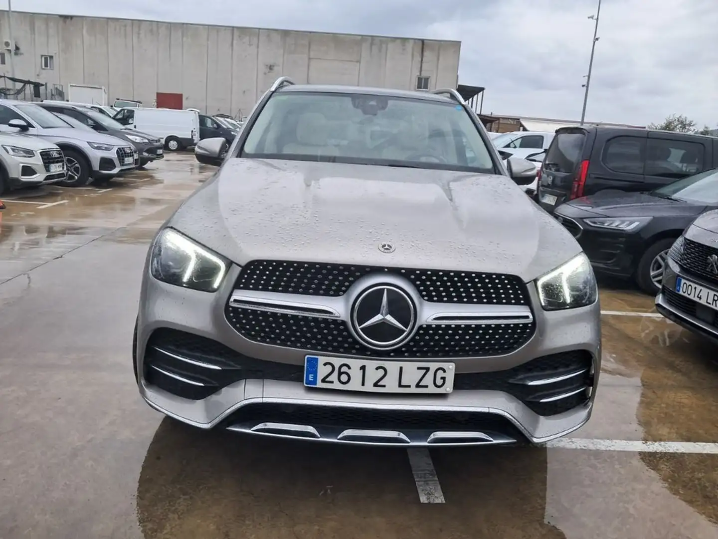 Mercedes-Benz GLE 300 300d 4Matic Aut. Gris - 2