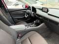 Mazda 3 Mazda3 Sedan e-Skyactiv G122 Comfort+ Aut. Rot - thumbnail 11