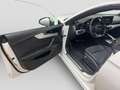 Audi S5 TDI quattro Comp. Virtual 360° CAM Weiß - thumbnail 14
