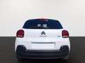 Citroen C3 C3 PureTech 83 Shine Pack Weiß - thumbnail 5