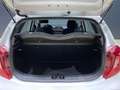 Kia Picanto 1.0 CVVT Eco-Dynamics Concept Pack Comfort Blanco - thumbnail 16