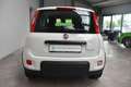 Fiat Panda City Life Hybrid Klima DAB UConnect PDC Weiß - thumbnail 4