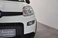 Fiat Panda City Life Hybrid Klima DAB UConnect PDC Weiß - thumbnail 11