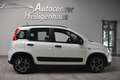 Fiat Panda City Life Hybrid Klima DAB UConnect PDC Weiß - thumbnail 2