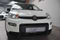 Fiat Panda City Life Hybrid Klima DAB UConnect PDC Weiß - thumbnail 1