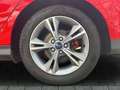 Ford Focus ST Line Zahnriemen neu Tüv neu LM-Felgen Rouge - thumbnail 12