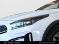 Kia XCeed /SILBER/1.0 TGDI 48V/DCT7/115/MY26 Weiß - thumbnail 11