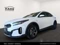 Kia XCeed /SILBER/1.0 TGDI 48V/DCT7/115/MY26 Weiß - thumbnail 5