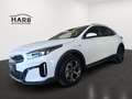Kia XCeed /SILBER/1.0 TGDI 48V/DCT7/115/MY26 Weiß - thumbnail 34