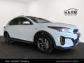 Kia XCeed /SILBER/1.0 TGDI 48V/DCT7/115/MY26 Weiß - thumbnail 3