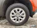 Dacia Duster Facelift Comfort TCe 100 LPG SHZ PDC Orange - thumbnail 17