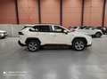 Toyota RAV 4 2.5 hybrid 4WD Feel! Blanc - thumbnail 2