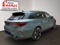 CUPRA Leon SP Kombi TRIBE 1.5 eTSI DSG Grün - thumbnail 15
