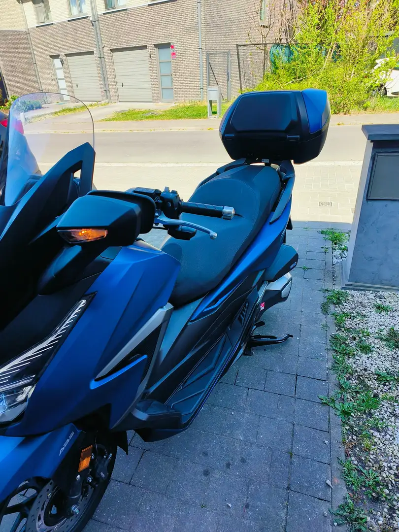 Honda Forza 350 Blau - 2