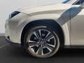 Lexus UX 250h 2019 250h 2.0 Luxury 4wd cvt Wit - thumbnail 18