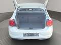 Volkswagen Polo 1.6 TDI Comfortl NAVI KLIMA SHZ SPEED-LIMIT Weiß - thumbnail 6