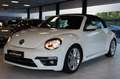 Volkswagen Beetle Cabriolet Design BMT/Start-Stopp|NAVI|SHZ Biały - thumbnail 9