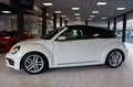 Volkswagen Beetle Cabriolet Design BMT/Start-Stopp|NAVI|SHZ Biały - thumbnail 10