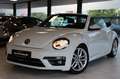 Volkswagen Beetle Cabriolet Design BMT/Start-Stopp|NAVI|SHZ Bianco - thumbnail 1