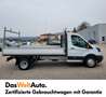 Ford Transit Pritsche 2,0 TDCi L3H1 350 Ambiente Weiß - thumbnail 6