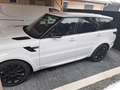 Land Rover Range Rover Sport Range Rover Sport 3,0 TDV6 HSE HSE Weiß - thumbnail 1