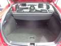 Toyota Prius Lounge 1,8 Hybrid *Erstbesitz *SD *Leder Rot - thumbnail 10