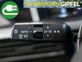Opel Frontera Electric GS Bluetooth Navi LED Klima Orange - thumbnail 17