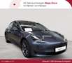 Tesla Model 3 Langstreckenbatt. Allradantrieb Dual Motor Gris - thumbnail 1