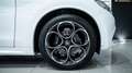 Alfa Romeo Stelvio VELOCE 2.2 Ti Q4 210 CV 20" CARBON AUTO XENO FULL Blanc - thumbnail 31