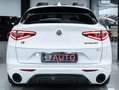 Alfa Romeo Stelvio VELOCE 2.2 Ti Q4 210 CV 20" CARBON AUTO XENO FULL Blanc - thumbnail 6