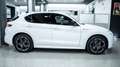 Alfa Romeo Stelvio VELOCE 2.2 Ti Q4 210 CV 20" CARBON AUTO XENO FULL Blanc - thumbnail 4