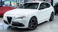 Alfa Romeo Stelvio VELOCE 2.2 Ti Q4 210 CV 20" CARBON AUTO XENO FULL Blanc - thumbnail 32
