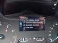 Ford Fiesta 1.0 EcoBoost S&S TITANIUM *ALU*ACC*WinterPk* Grau - thumbnail 20