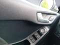 Ford Fiesta 1.0 EcoBoost S&S TITANIUM *ALU*ACC*WinterPk* Grau - thumbnail 18