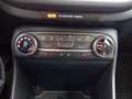 Ford Fiesta 1.0 EcoBoost S&S TITANIUM *ALU*ACC*WinterPk* Grau - thumbnail 15