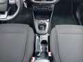 Ford Fiesta 1.0 EcoBoost S&S TITANIUM *ALU*ACC*WinterPk* Grau - thumbnail 13