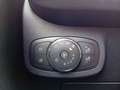Ford Fiesta 1.0 EcoBoost S&S TITANIUM *ALU*ACC*WinterPk* Grau - thumbnail 19