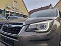 Subaru Forester Platinum 2,0 AWD PANO+LED+KAMERA+NAVI Braun - thumbnail 20