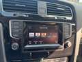 Volkswagen Golf Variant 1.4 TSI Highline, GLAZEN DAK, CRUISE, NAV, STL VER Grijs - thumbnail 13